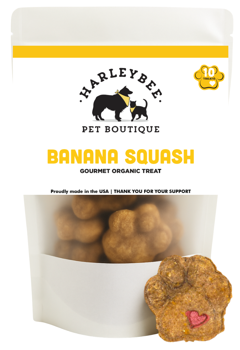 Banana Squash Treats
