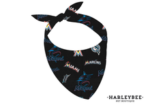 Load image into Gallery viewer, Sports What a Catch Bandana
