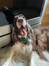 Load image into Gallery viewer, Sports All About The U Bandana
