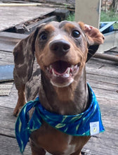 Load image into Gallery viewer, Swirl Sapphire Bandana
