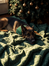 Load image into Gallery viewer, Christmas Mistletoe Bandana
