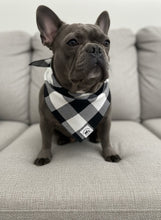 Load image into Gallery viewer, Flannel Ebony &amp; Ivory Bandana
