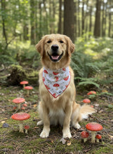 Load image into Gallery viewer, Shroom Bloom
