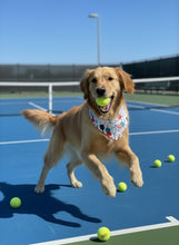 Load image into Gallery viewer, Sports Paws On The Court
