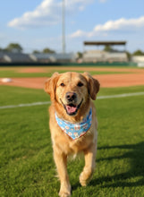 Load image into Gallery viewer, Sports Batter Up Pup
