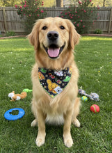 Load image into Gallery viewer, Stoney Pup
