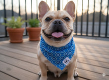 Load image into Gallery viewer, Blue Aura
