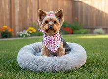 Load image into Gallery viewer, Butterfly Kiss
