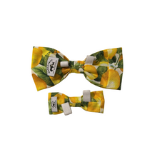 Load image into Gallery viewer, Two yellow and green patterned bow ties on a white background
