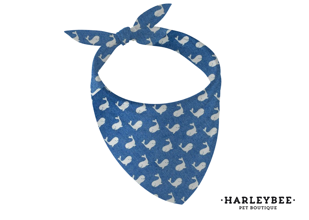 Beluga Whale Bandana