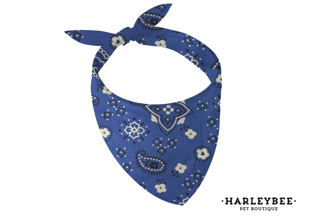 Paisley Blue Bandana