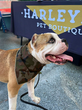 Load image into Gallery viewer, Camouflage Bandana
