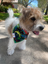 Load image into Gallery viewer, Cartoon Dinosaur Craze Bandana
