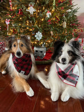 Load image into Gallery viewer, Flannel Checkers Bandana
