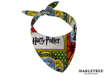 Load image into Gallery viewer, Cartoon Harry Potter

