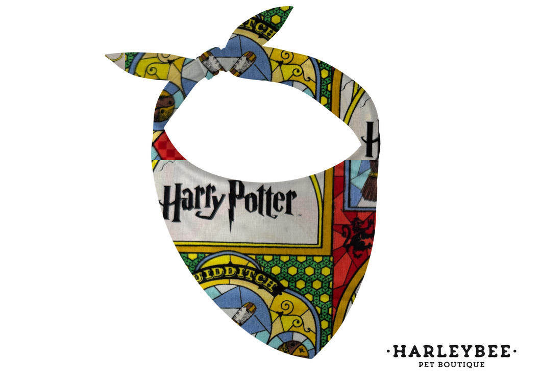 Cartoon Harry Potter