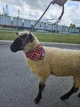 Load image into Gallery viewer, Sports Chomp Chomp Bandana
