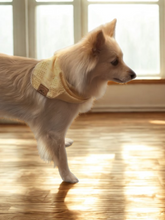 Load image into Gallery viewer, Lace Daffodil Bandana
