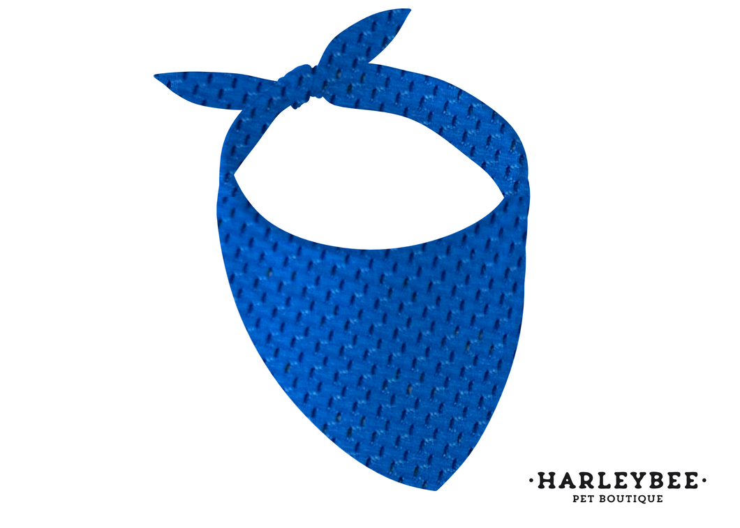 Mesh Azure Bandana