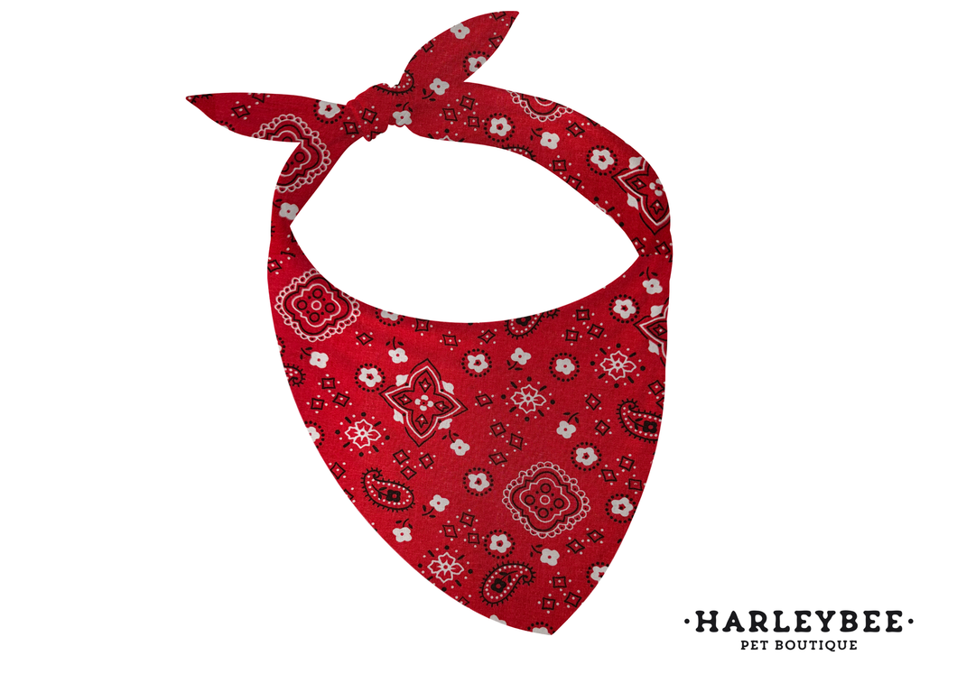 Paisley Red Bandana