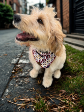 Load image into Gallery viewer, Sports Noles Bandana
