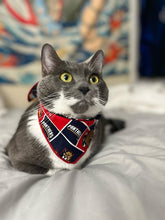 Load image into Gallery viewer, Sports Panthers Bandana

