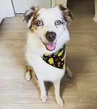 Load image into Gallery viewer, CARTOON LET&#39;S TACO BOUT IT BANDANA

