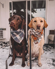 Load image into Gallery viewer, Flannel Smokey Blue Bandana
