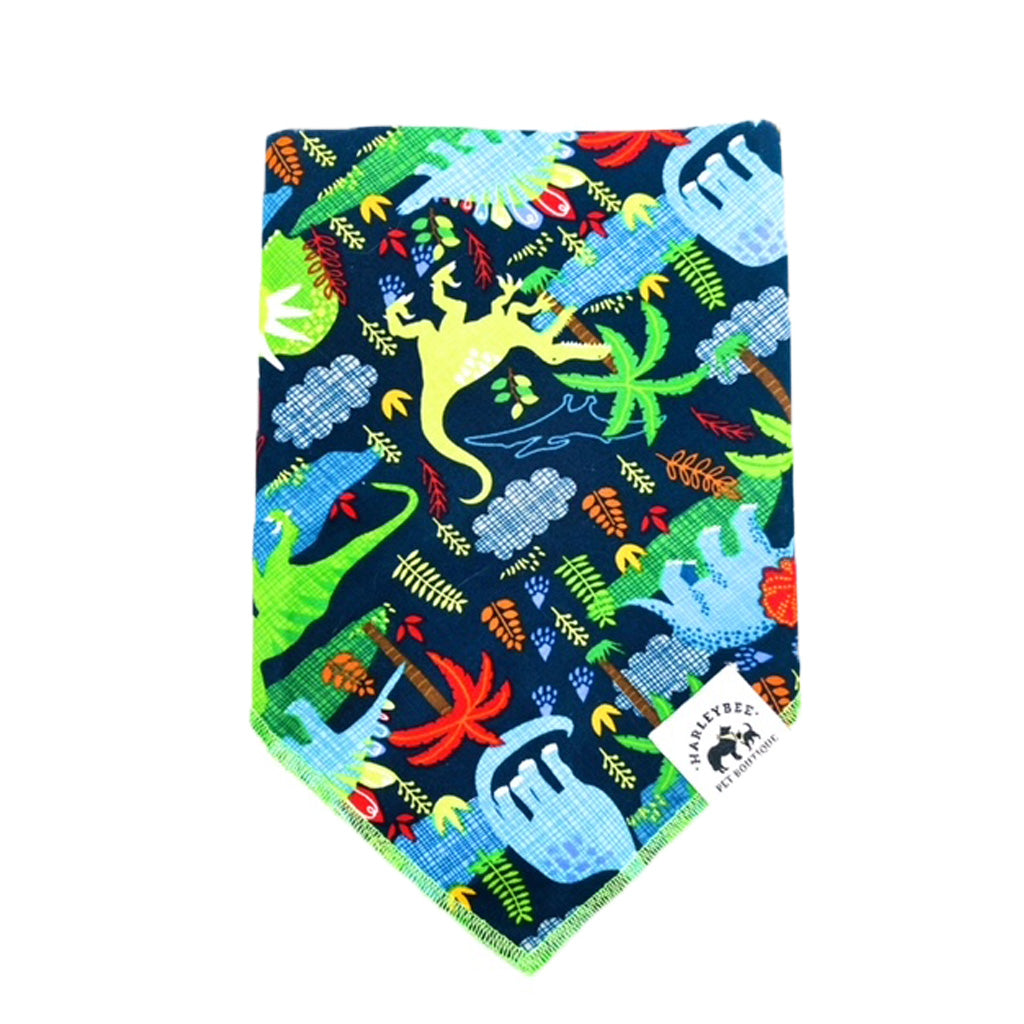 Cartoon Dinosaur Craze Bandana
